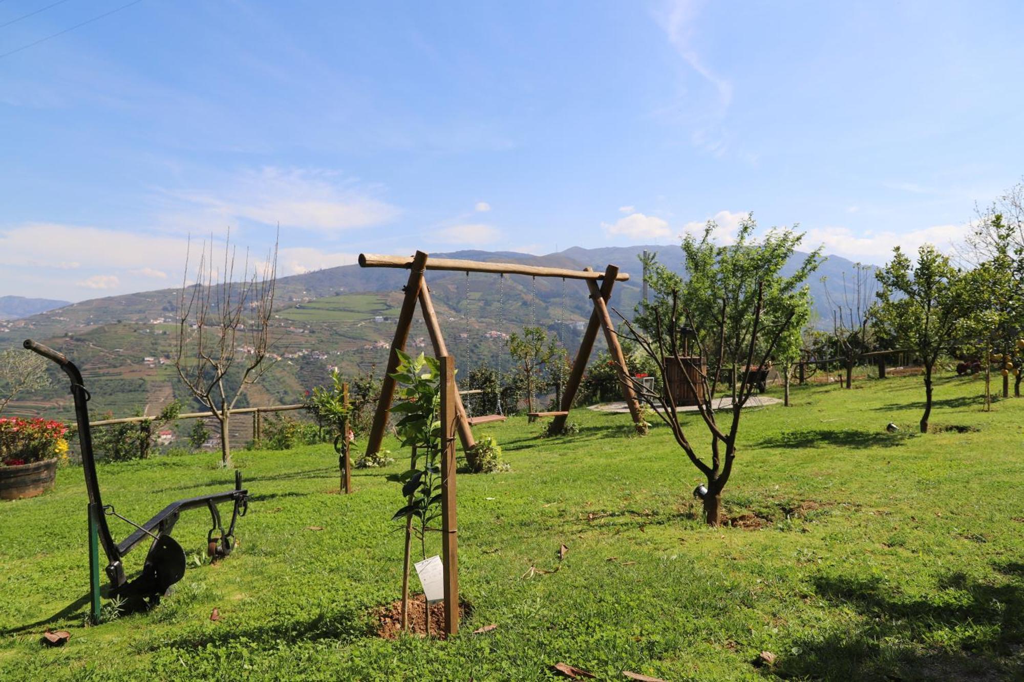Casa Vale Do Douro Bed & Breakfast Mesao Frio Bagian luar foto