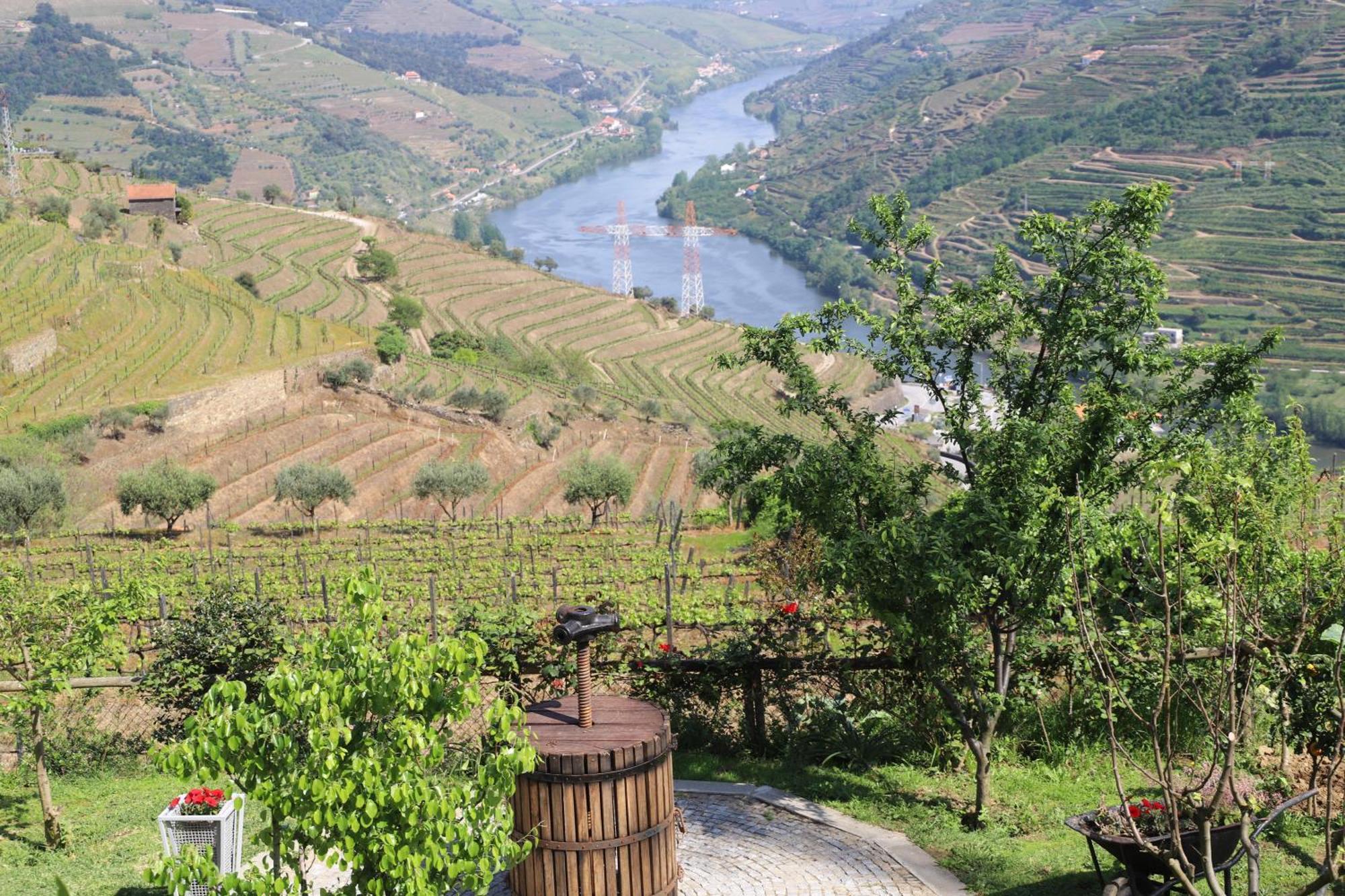 Casa Vale Do Douro Bed & Breakfast Mesao Frio Bagian luar foto